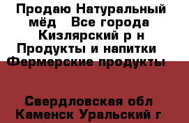 Продаю Натуральный мёд - Все города, Кизлярский р-н Продукты и напитки » Фермерские продукты   . Свердловская обл.,Каменск-Уральский г.